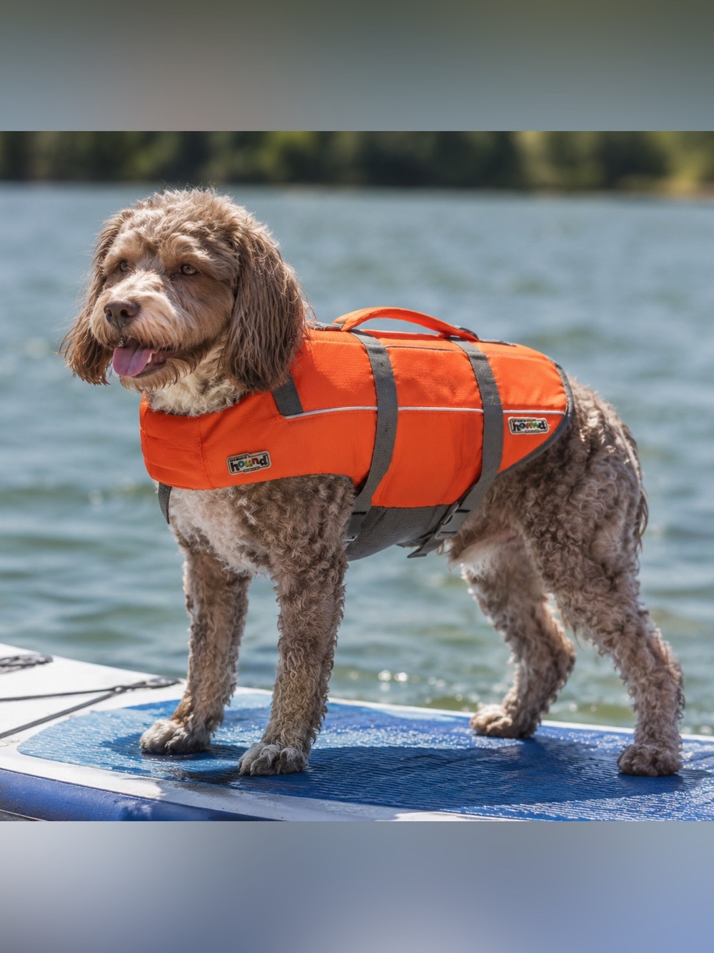 Outward Hound Dog Life Jacket Orange Gray Size Small SM Pet Flotation Vest